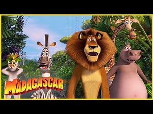 Madagascar | ¡Bienvenidos a Madagascar! | Dibujos Animados en Español