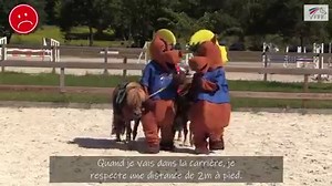 Trop Top est retourné au club 🐴 ! Avec sa monitrice d'équitation, il découvre les bonnes pratiques à respecter pour retrouver son poney préféré et ses amis en toute sécurité ✅ ... même s'il est parfois un peu tête en l'air ! ;p 🔝 Vous aussi, adoptez les bons gestes et rapprochez vous de votre club pour préparer votre reprise de l'équitation ! ;) ➡️ Vous êtes dirigeant de structure ? Retrouvez le kit de reprise sur mediaclub.ffe.com ! | FFE - Fédération Française d'Equitation