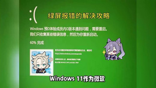 全方位解析：Win11绿屏报错解决攻略