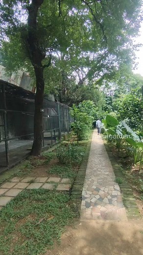 Birds World | Smart Garden | Facebook