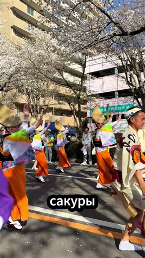 🌸😳This could make people in Japan hate you