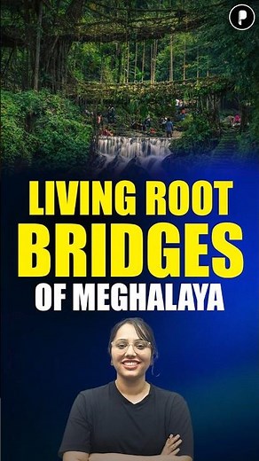 Nature's Engineering: Meghalaya's Living Root Bridges! 🌿🌉
