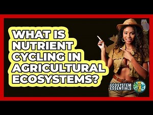 What Is Nutrient Cycling In Agricultural Ecosystems? - Ecosystem Essentials