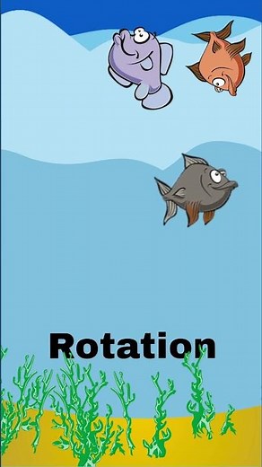 Geometry on the Move: Exploring Transformations! 😀 #shorts #geometry