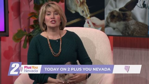 3/13 - 2 Plus You Nevada - Reno Rabbit Rescue, UNR Sanford Center for Aging, Plus More!