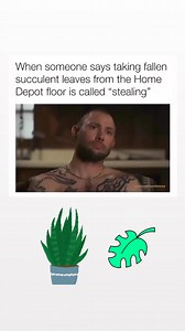 What? 🌱 #plantsmakepeoplehappy #memes #houseplants | Plant Memes