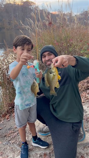 Monster Shellcracker (Redear Sunfish) while blue gill fishing 🎣 #shorts #fishing