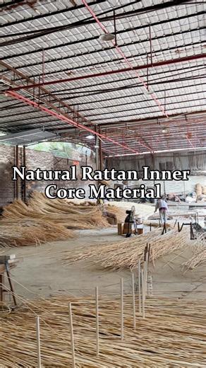 陈艳 on Instagram: "Used for the supporting/load-bearing structures (e.g., frames, borders, columns) of woven furniture, baskets and crafts to enhance stability and durability; can be processed into rattan strips separately for skeleton needs of different thicknesses#rattan #rattanlamp #rattanbag #rattantakım #rattanchair #ecomaterials #buildingdesign #buildingmaterials #interiordesign #jqbamboorattan"