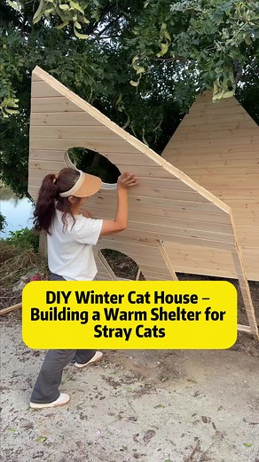 DIY Winter Cat House: Cozy Shelter for Stray Cats