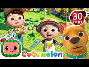 Walk in Nature with Animals and Colorful Leaves | Cocomelon and Little Angel Nursery Rhymes