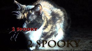2 Spooky
