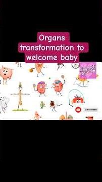 The talking organs Baby's 3D world of cravings#shortsfeed#babyinwomb #3danimation