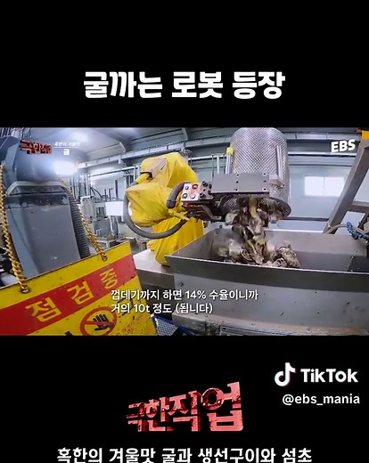 로봇이 굴을 까는 극한직업