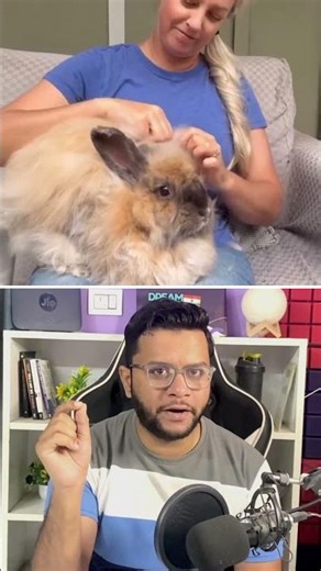 People Even Extract Wool from Rabbits 🐰 #facts