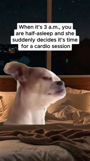 mom's magic | Me at 3am fighting for my life 😭 #3amthoughts #marriedlife #husbandandwife #sleeplessnights #funny | Instagram