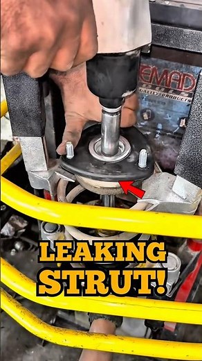 Strut Leaking BAD? Watch This! #mechanic #car #service