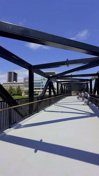Carleton University on Instagram: "It’s official! The Rideau River Pedestrian Bridge is now open. 👏 This new addition to campus connects Carleton University to Vincent Massey Park, making our campus more accessible to the wider community. 🌉 Will this bridge be part of your commute to campus? Let us know!"