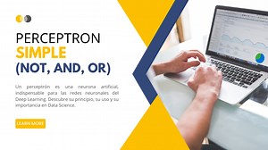 Perceptrón Simple: Ejemplos NOT, AND, OR