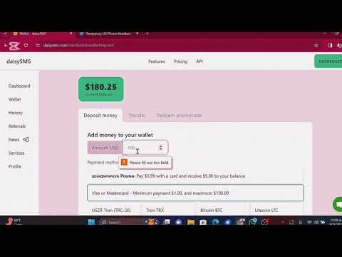 কিভাবে DaisySMS এ ডলার লোড করবেন? | How to Dollar Load in DaisySMS (কম দামে)