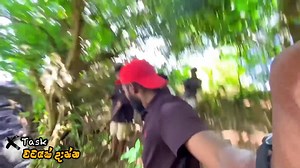 දූපත මැද ඇට සැකිල්ලක් ! 😯 | Mini Caption