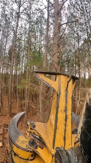 10K views · 146 reactions | Raw sounds bunching trees 2_12 seconds long_ Enjoy a different set up on mount watch the head work_ #chainsaw #cutterman #cutterman830 #catchloggermack #goprohero9 #fblifestyle #33333trees #tigercatforestry | Steven Christian | Facebook