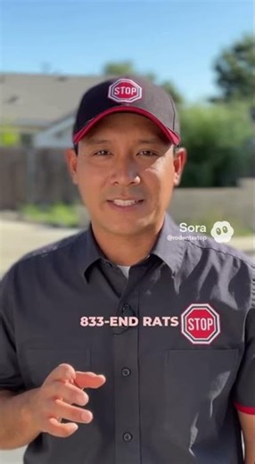 rodent extermination near me