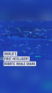 34K views · 230 reactions | A Chinese company has produced the...