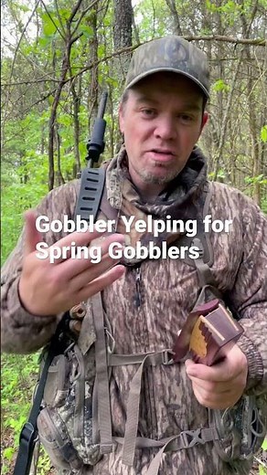 Gobbler YELPING for Spring Gobblers. What is Gobbler Yelping