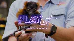 🦉🔭 Discover the world and explore the universe at the Museum of Arts and Sciences in Macon, Georgia! Where else can you get nose to nose with a python, gaze at a planetarium full of constellations, have hands-on fun with science, see a prehistoric whale fossil named Ziggy and spend hours gaining an appreciation for artistic expression... in one place?! The Museum of Arts & Sciences is proudly a one-of-a-kind experience with an art museum, a science center and a nature center in one location. ✅