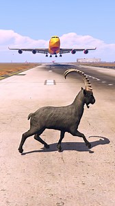 2.2M views · 4.5K reactions | A Goat Inadvertently Went Where The Aircraft Was Landing !!! GTA 5 #gtav #grandtheftautov #gamingworld | Gaming World | Facebook