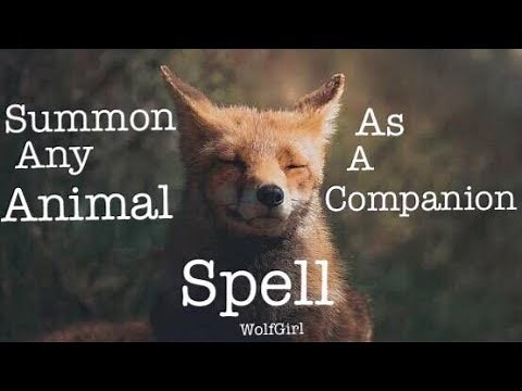 Summon Any Animal as a Companion Spell