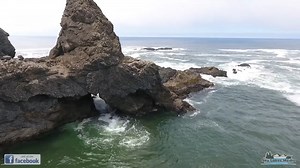 5.3K views · 263 reactions | So after sitting in the backyard by the...