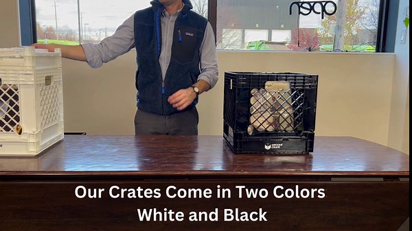 Vinyl Record Storage Crate for 12" Vinyl LP Milk Crate Collapsible and Stackable in White - 10 Pack - By Groove Crate