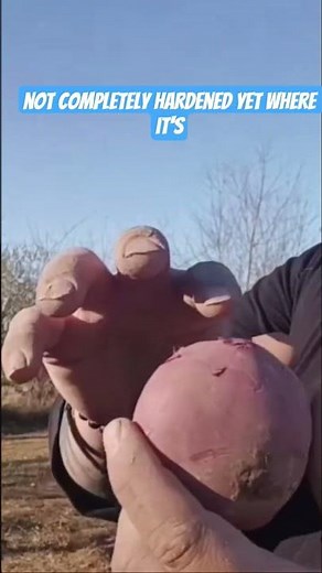 how to store potatoes for long term storage?