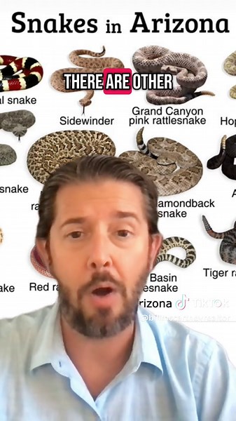 Descubre las 13 especies de serpientes de cascabel en Arizona