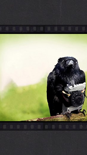 Riz Ahmed, Kayvan Novak, Adeel Akhtar, and Arsher Ali star for writer-director Chris Morris in the smart and provocative Film4-backed Four Lions, tonight at 11.35pm – and this classic of contemporary British comedy is also available on All 4. | Film4