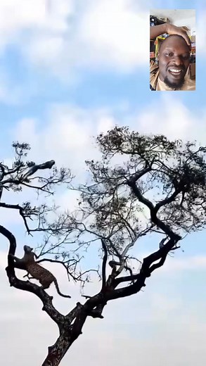 365K views · 2.9K reactions | This play can sweet but it is a dangerous play #michaelandfamilypagechallenge #followersreelsfypシ゚viralシfypシ゚viralシ #everyonehighlightsfollowerseveryonehighlightsfollowerseveryone | Michael & Family Page | Facebook