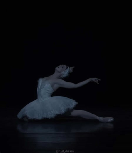 Exploring the World of Ballet and Performance Art