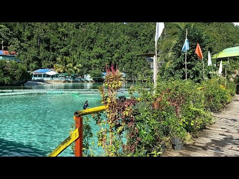 Irene Bee View Vlogger is live! Merry Christmas ❤️#like#sharei