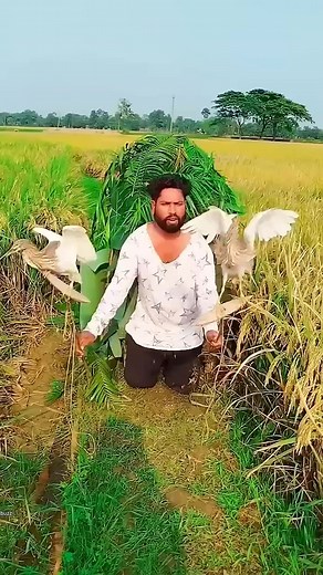 416K views · 1.2K reactions | these amazing people are doing amazing work #shortsvideo | MR Ahsan | Facebook