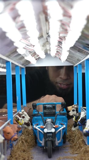 Overview of a Modern Mini Cow Farm Model