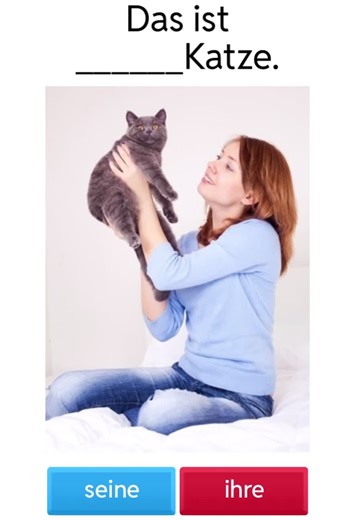 Learn German Basics: A1 German Language Guide