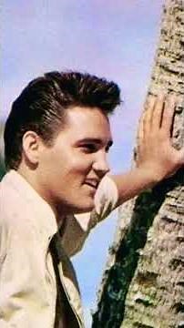 A Little Less Conversation - Elvis Presley (1968)