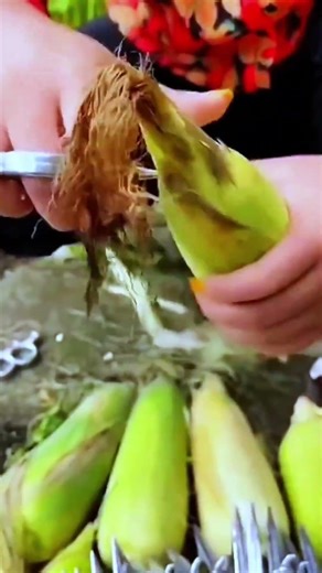 AGRITECH || Alat cerdas untuk mengupas jagung dengan mudah #shorts