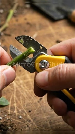 The World’s Smallest Power Tool? Mini Plant Grafting Tool