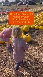 88K views · 7.7K reactions | It’s October and I’m back on the case...