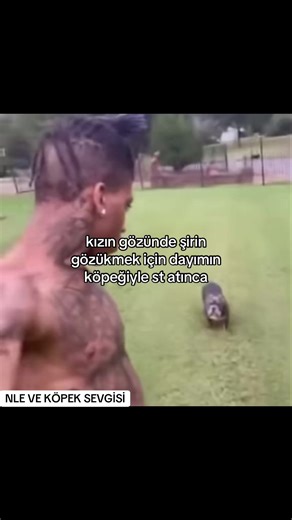 Köpek Sevgisi ve NLE ile Eğlenceli Anlar