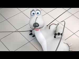 Bernard Bear | Backkom Prizes And More | Cartoons for Kids