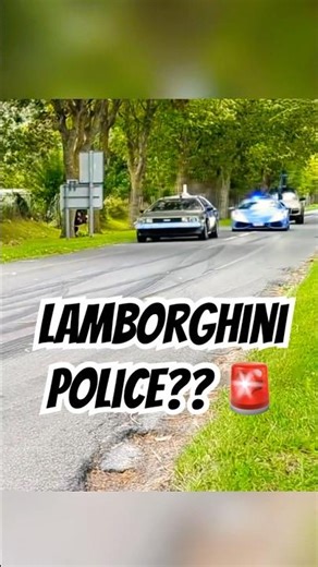 POLICE in Lamborghini chasing Delorean Time Machine! REALLY! #backtothefuture #80s #shorts