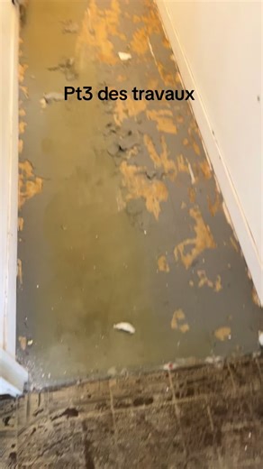 Avancement des Travaux de Rénovation d'un Appartement